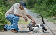 Man visits with some neighborhood kitties.