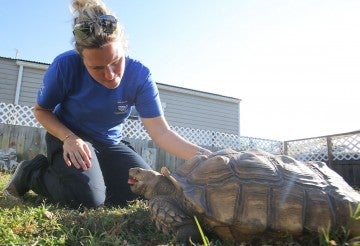 HSUS rescue member with a rescued tortoise on a sunny day