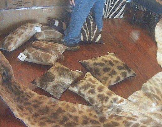 Pillows made from giraffe skins