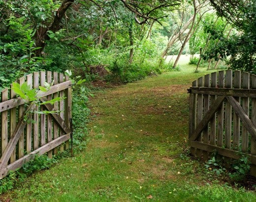 open gate leading into a lush green garden