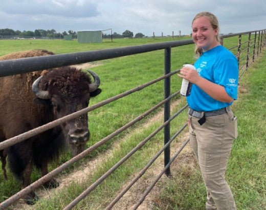 Intern at BBR with a bison