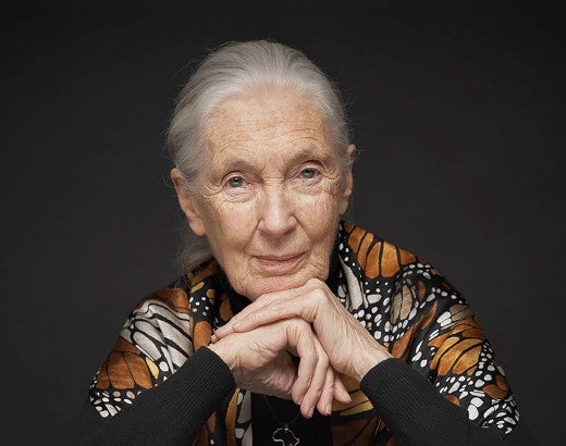A portrait of Dr. Jane Goodall against a black background.