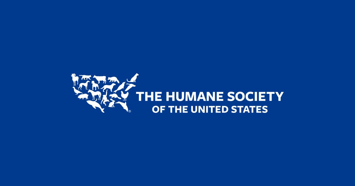Glue boards | The Humane Society of the United States
