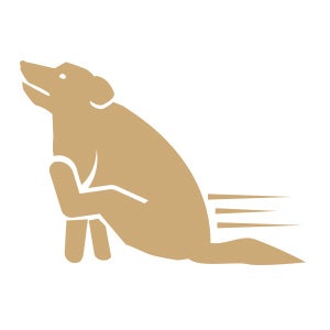 Icon of dog butt scooting