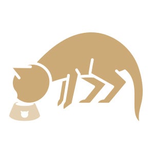 Icon of a cat eating/drinking