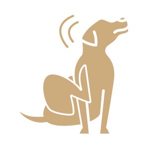 Icon of dog scratching ear