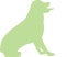 Green dog icon