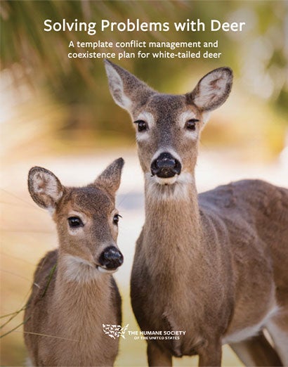 solving problems with deer toolkit cover