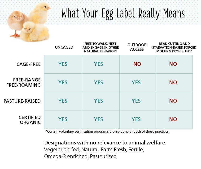 how-to-read-egg-label-full.jpg?itok=CxqY