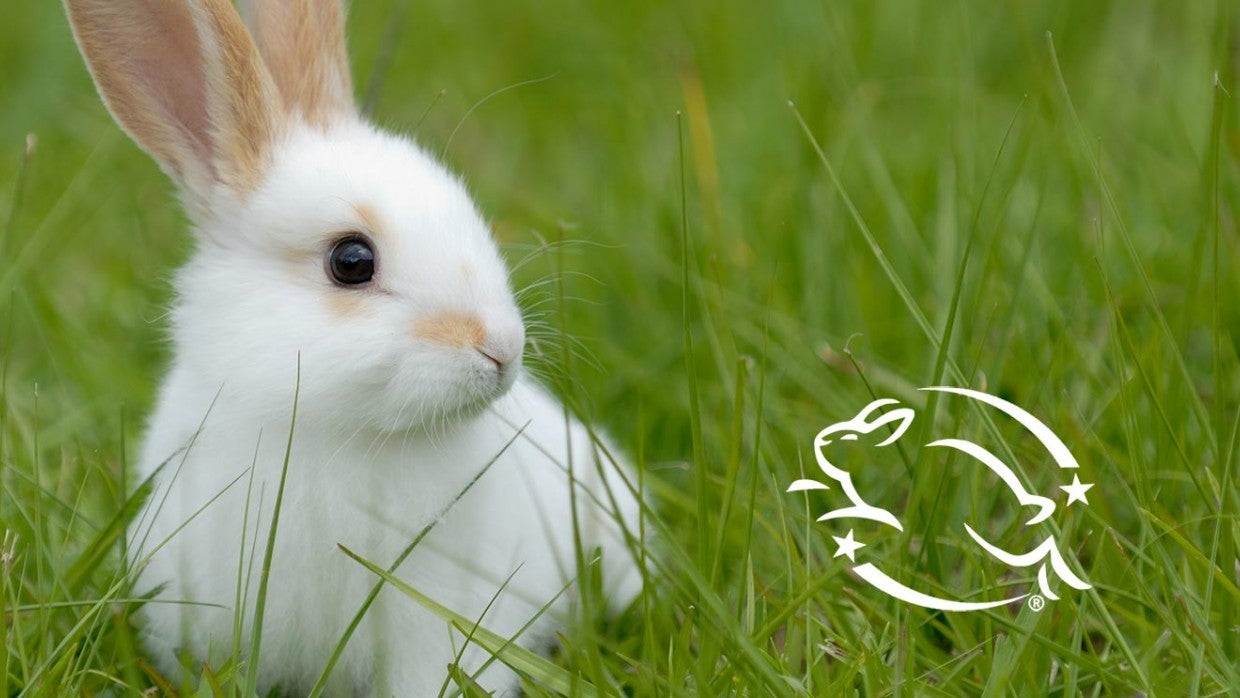 Keep animal testing out of your shopping cart | The Humane Society of the  United States