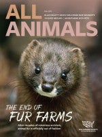 Cover all All Animals Fall 2023 Issue
