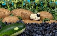 Vegetable scene of a cauliflower and blackberry lamb on a potato and broccoli landscape with a cucumber whale swimming in a blueberry ocean. 