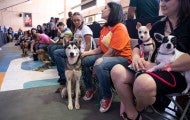 Owners and their pets waiting at Spayathon for Puerto Rico