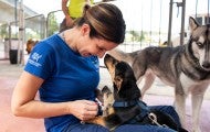 HSUS staff cuddling dogs at Spayathon event