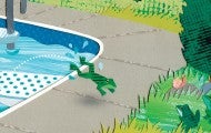 A frog jumps to safety out of a pool using a ramp to rejoin the other frogs on the safety of the grass