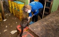Photo of HSUS president and CEO Kitty Block petting a cat in an alleged neglect situation in Muncie, Indiana.