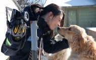 Intern Ashley Mauceri rubs noses with a dog