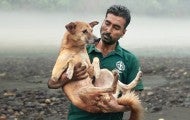 A man holds a community dog using the hand-catching technique on the street in Rishikesh, India,.