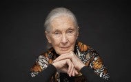 A portrait of Dr. Jane Goodall against a black background.