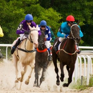 Horses in horse racing industry