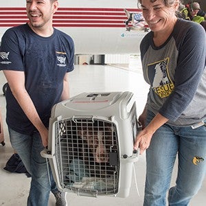 Dog in crate being carried by shelter partner and HSUS staff