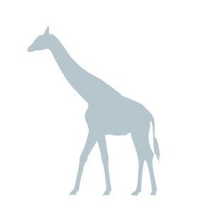 Icon of a giraffe