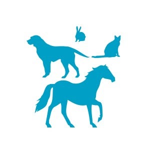 Icons of a horse, cat, rabbit and dog.