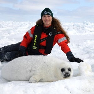 Humane Society International staffer sitting next a harp seal in an ice field