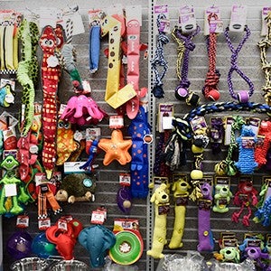 Dog toys at a pet store that does not sell puppies