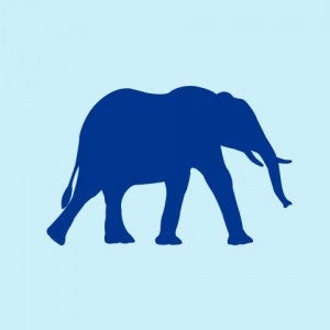 icon of elephant