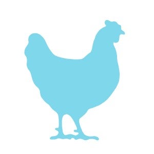 Bright blue chicken icon