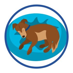 Icon illustration of a tired sleeping dog