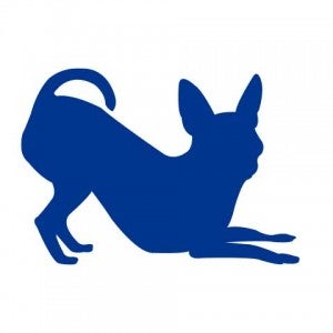 icon of dog playing