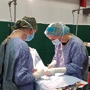 Two vets perform surgery at a free RAVS clinic