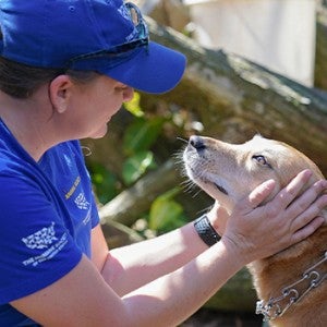 HSUS animal rescue team member petting a golden pet dog while distributing pet supplies to those affected by Hurricane Ian