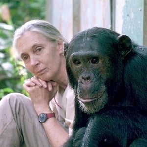 Jane sitting next to a chimp