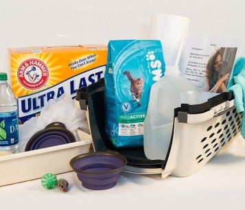 Emergency kit, including pet food, a carrier, litter, water, toys, medications, water, towels, etc