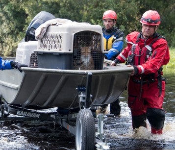 Field responders pushing a boat to shore with cats on board