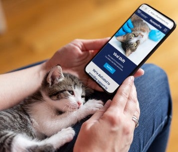 person with kitten on their lap holding a smartphone showing HumanePro website