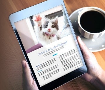tablet showing pet tips ebook