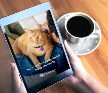 Get your FREE top cat health tips e-book!