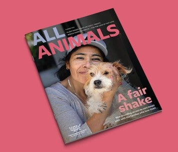 Cover of All Animals Magazine Summer 2023 Issue