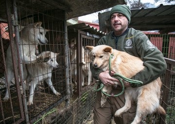 Adam Parascandola rescues a dog at a dog meat farm