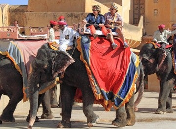Elephant rides in India