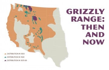 Map showing the range of Grizzly population in the Greater Yellowstone Ecosystem