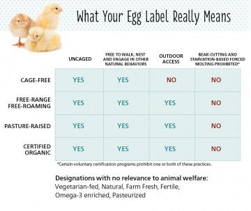 What Your Egg Label Really Means
