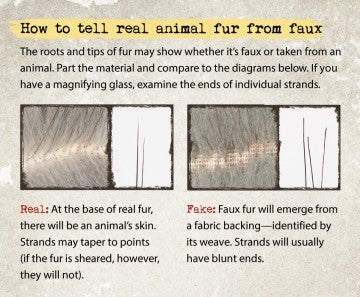 Diagram showing how to tell the difference between real fur and fake fur