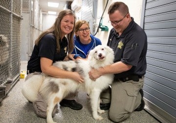 White fluffy dog in a shelter with law enforcement and an HSUS staff member