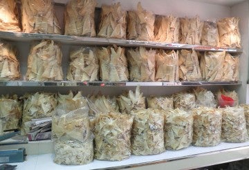Bags of dried shark fins lining shelves