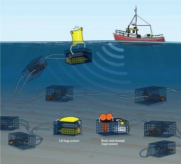 Illustration showing ropeless fishing options